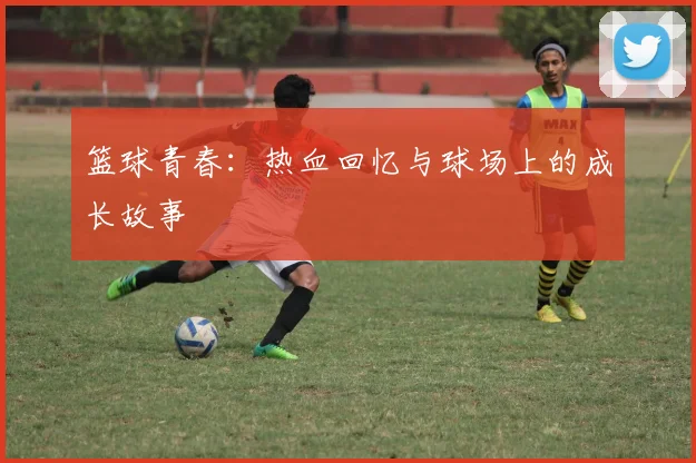 篮球青春：热血回忆与球场上的成长故事