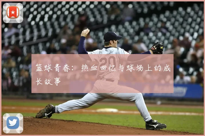 篮球青春：热血回忆与球场上的成长故事